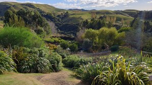 Um jardim exuberante com diversas plantas e árvores, um pequeno lago e colinas ondulantes ao fundo.