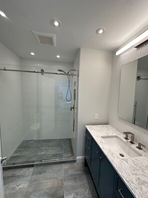 Combined shower/bathtub, hair dryer, soap, toilet paper