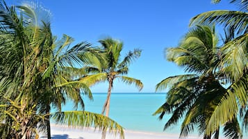 Plage, chaises longues, serviettes de plage