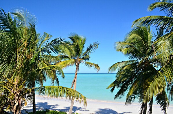 On the beach, sun loungers, beach towels - Beachfront large 2/2 on Spanish Wells' northside beach. Sun deck by the water. (Spanish Wells)