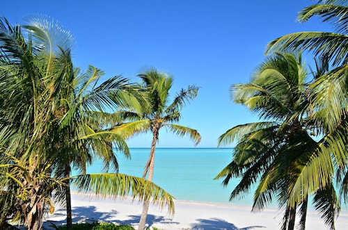Beachfront large 2/2 on Spanish Wells' northside beach. Sun deck by the water.