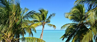Beachfront large 2/2 on Spanish Wells' northside beach. Sun deck by the water.