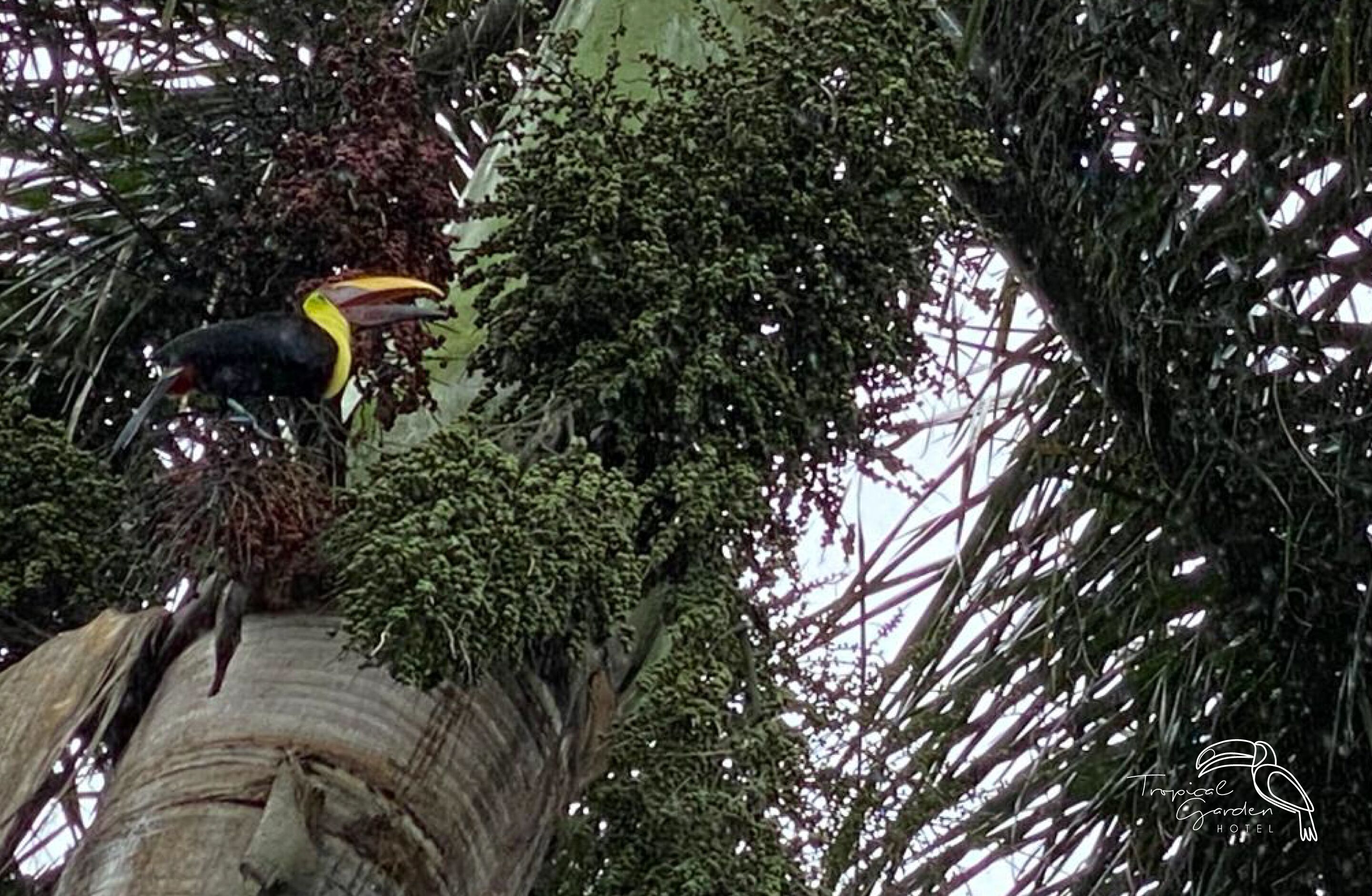 Photo - Tropical Garden Hotel