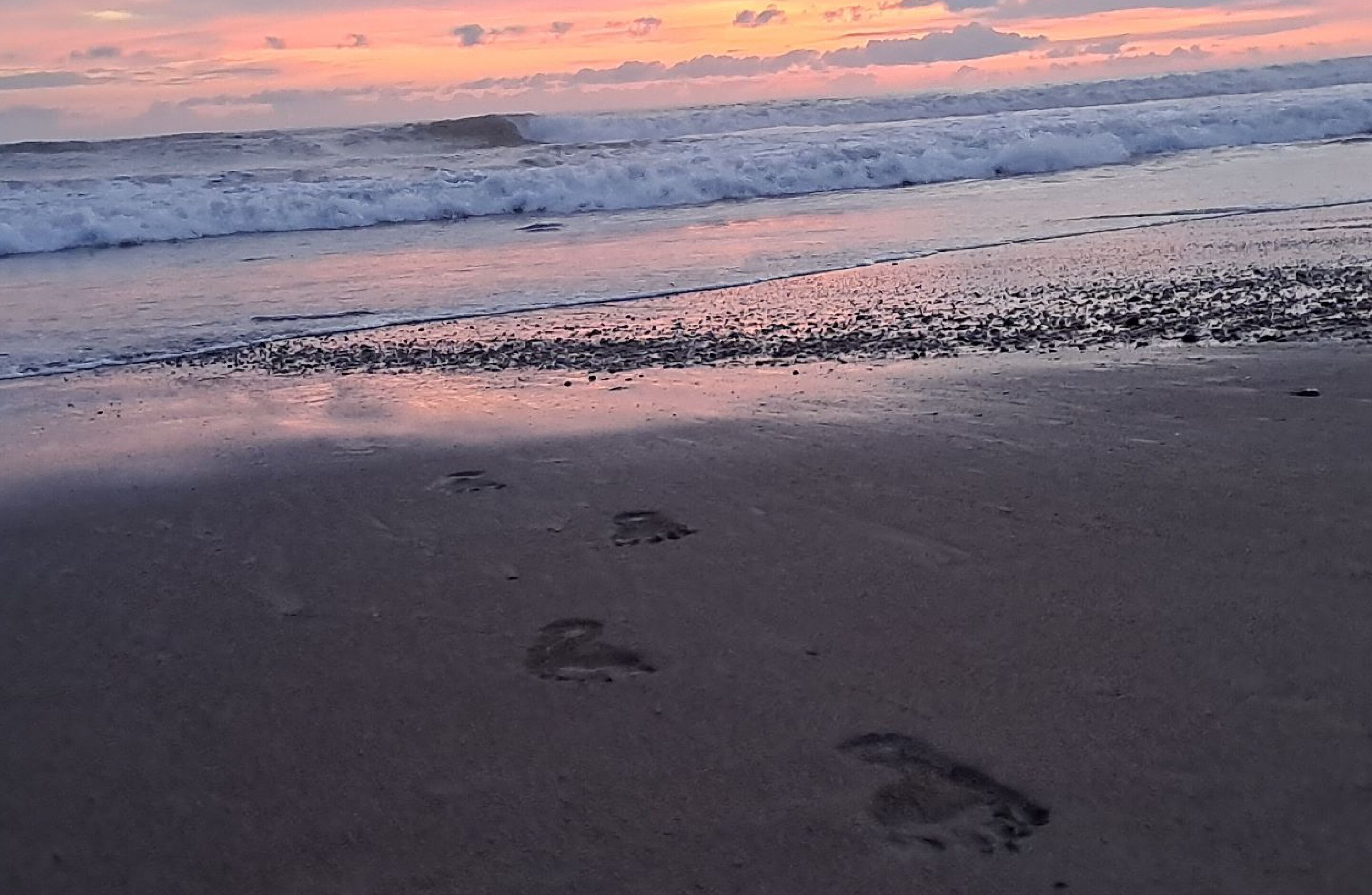 Photo - Tropical Garden Hotel