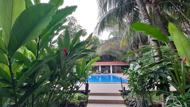 A pool area with steps leading to a building, surrounded by lush tropical plants. - Hotel Tropical Garden (Jacó)