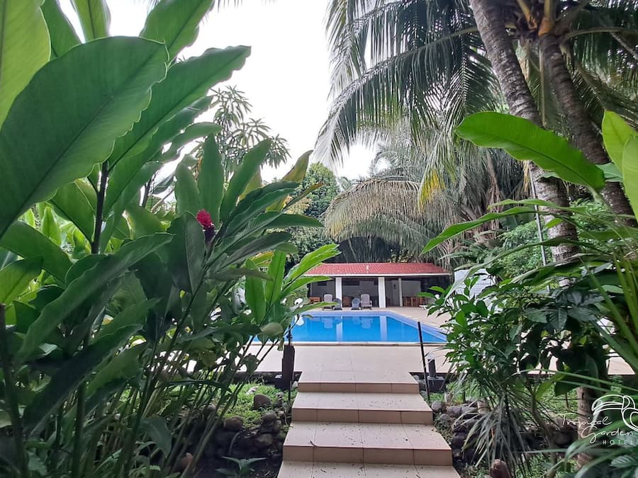 Alberca al aire libre, acceso de 08:00 a 08:30, y camastros