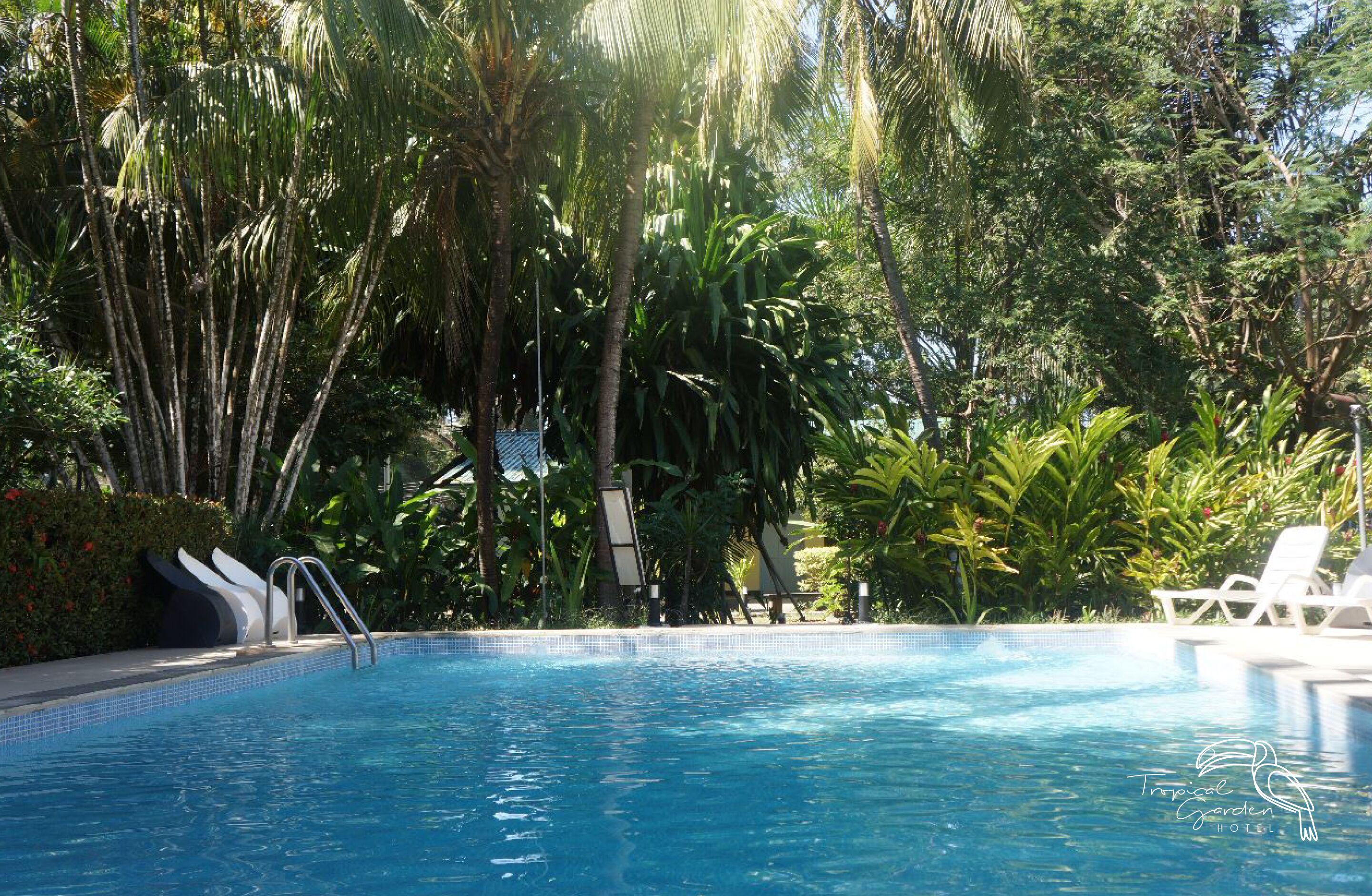 outdoor pool, open 8:00 am to 8:30 am, pool loungers