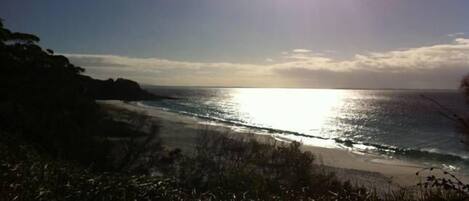 A coastal landscape with a beach, ocean, and vegetation.