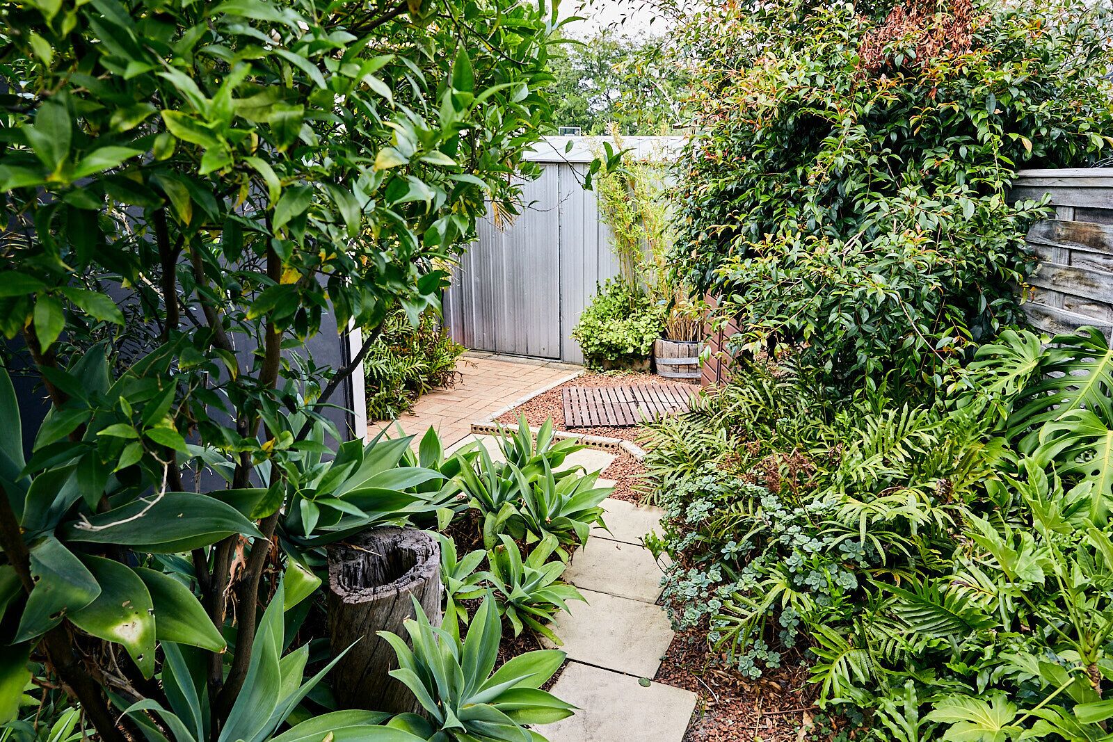 Fruit trees and outdoor shower!
