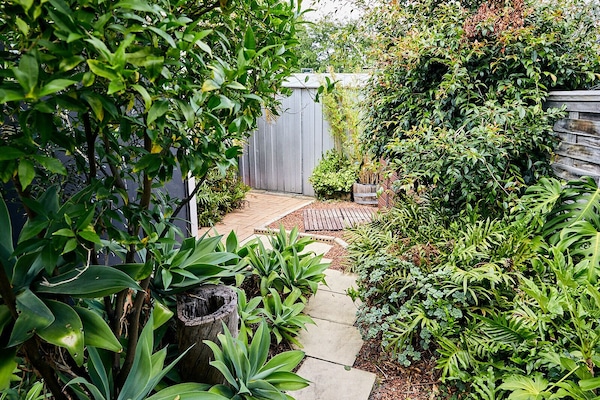 Fruit trees and outdoor shower!