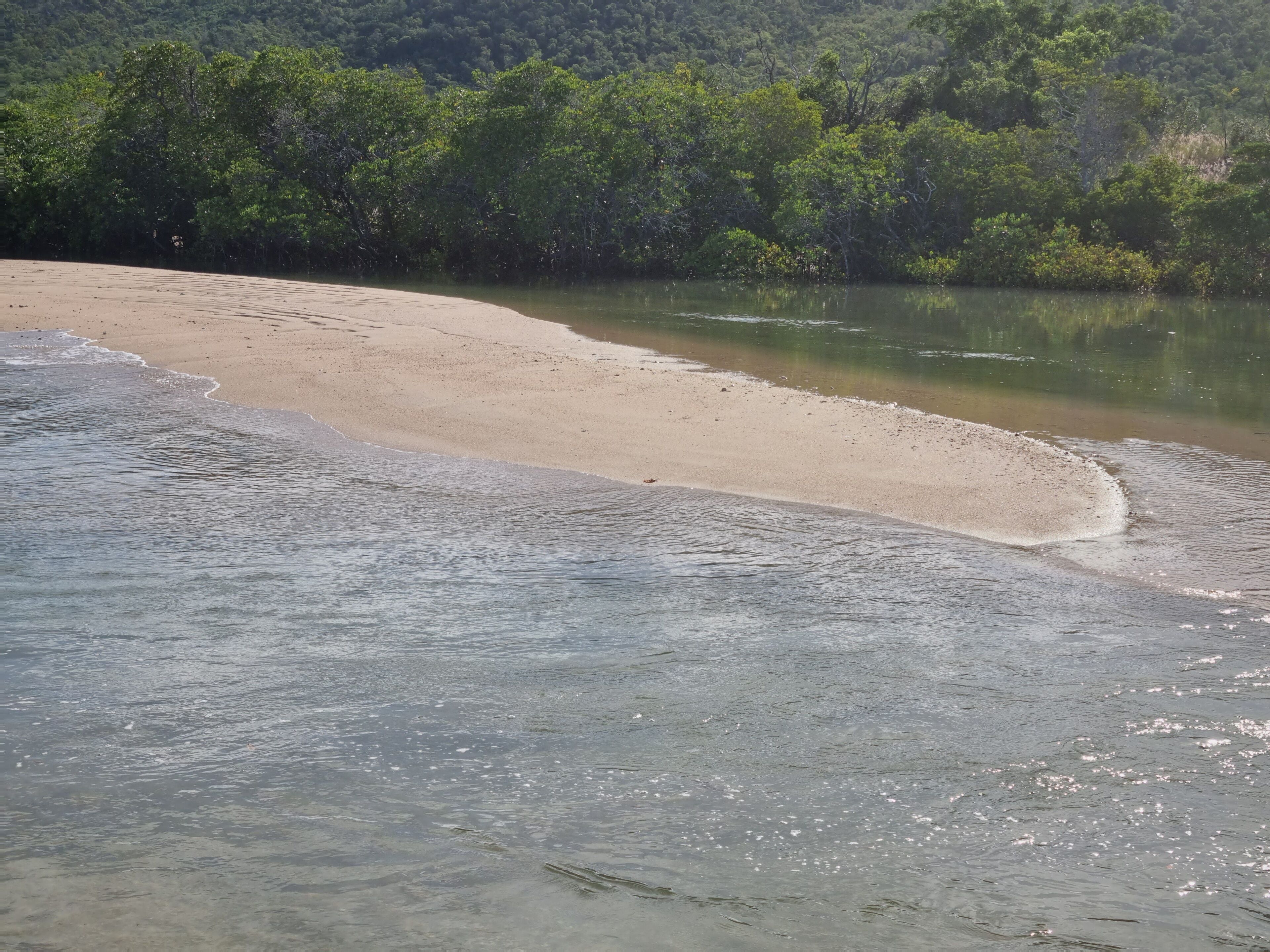 A beach with clear water and a sandy shore.