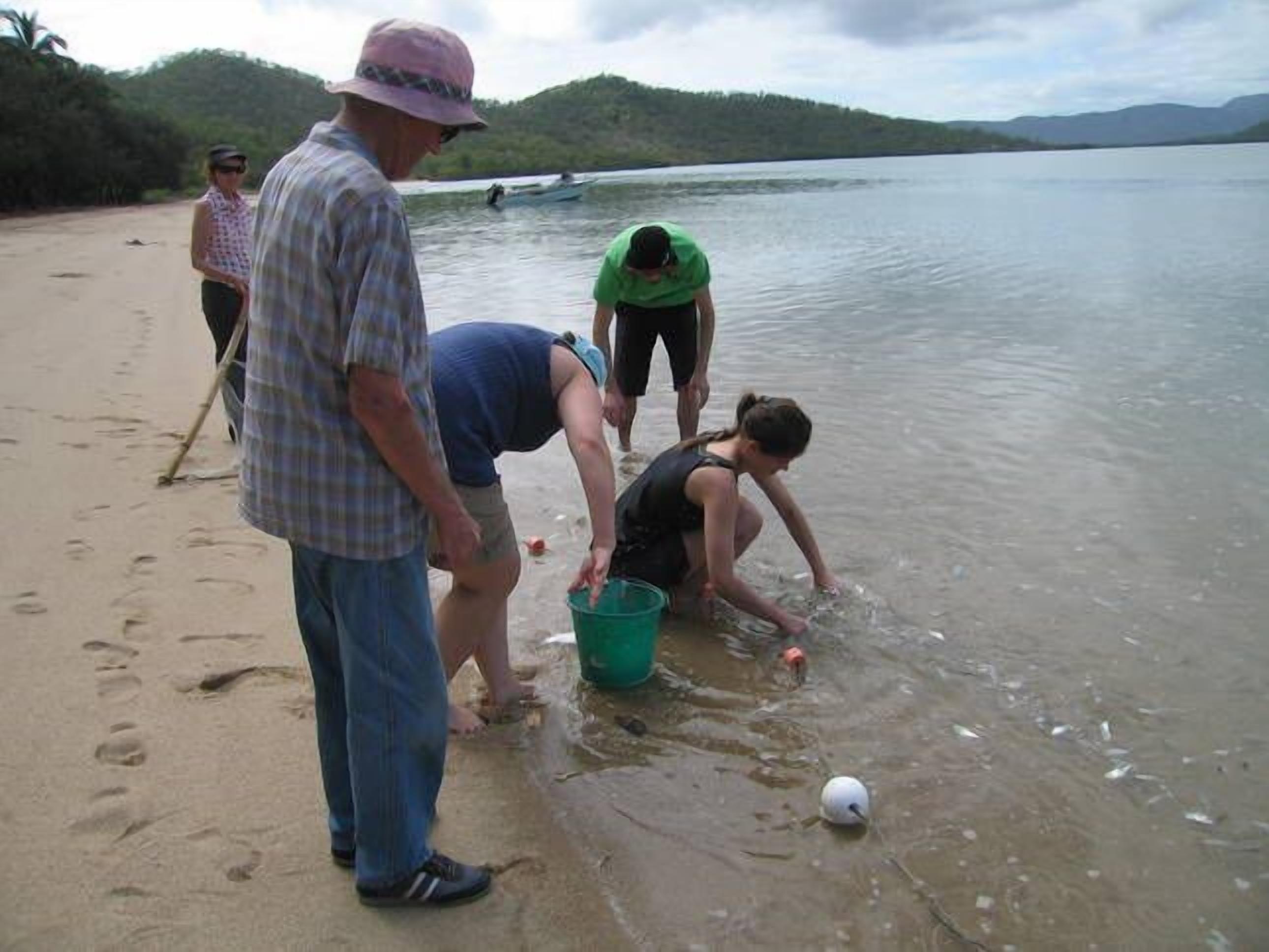 Wow! Idyllic Sunset Beach — image 22