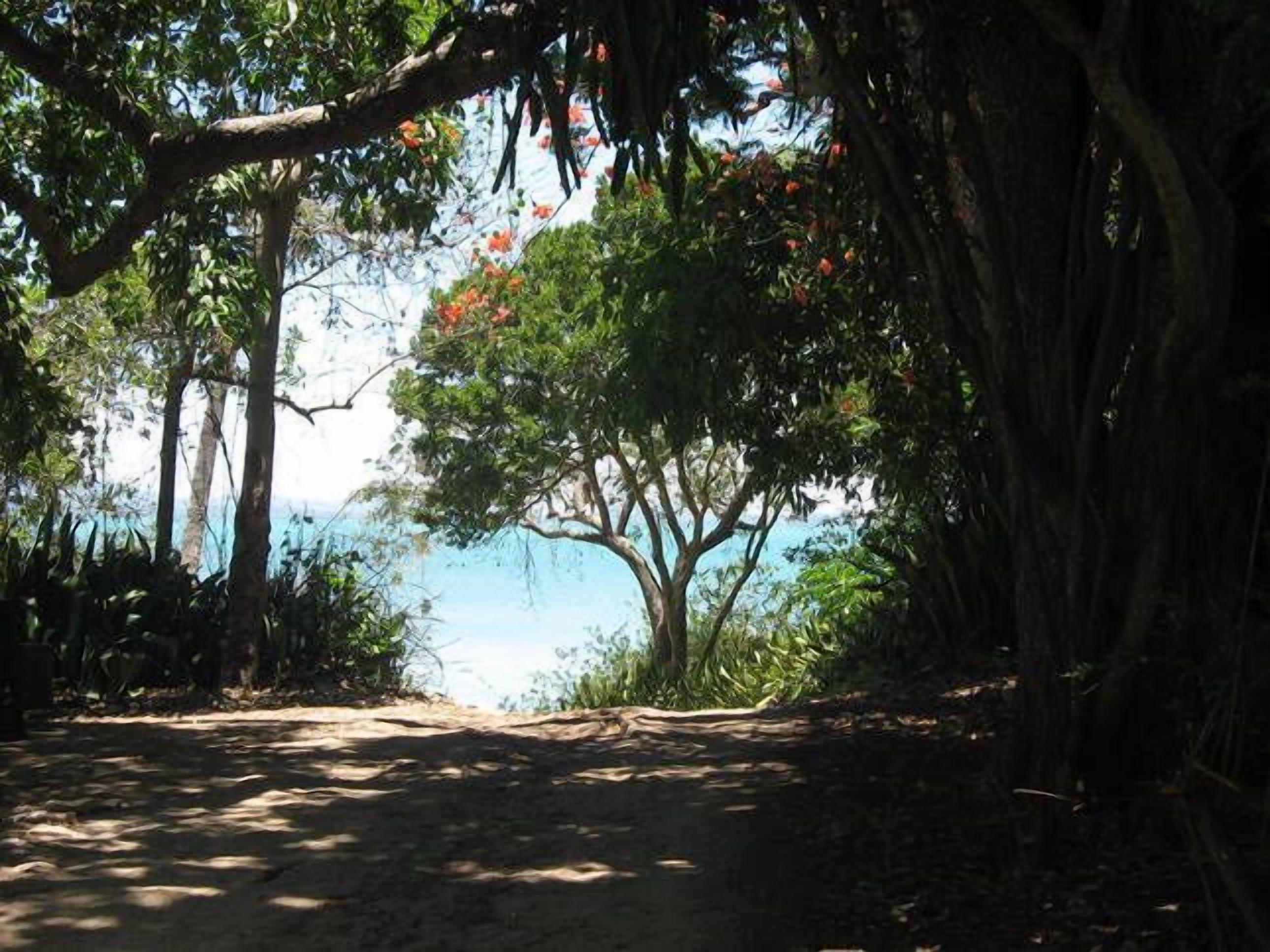 Wow! Idyllic Sunset Beach — image 19