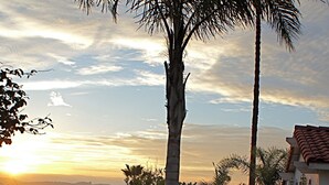 A palm tree in a desert landscape with a house in the background. - Quiet Hilltop Home With Stunning Hill Top And Valley Views (Valley Center)