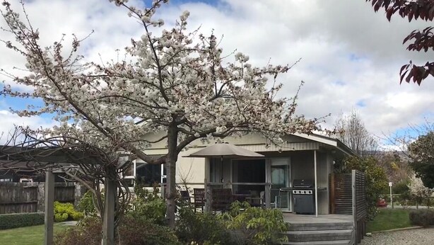 A house with a covered patio, a grill outside, and a garden with a tree. -  Located near Eely Point  (Wanaka)