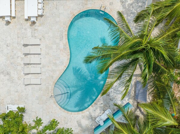 An aerial view of a swimming pool surrounded by white lounge chairs and palm trees.