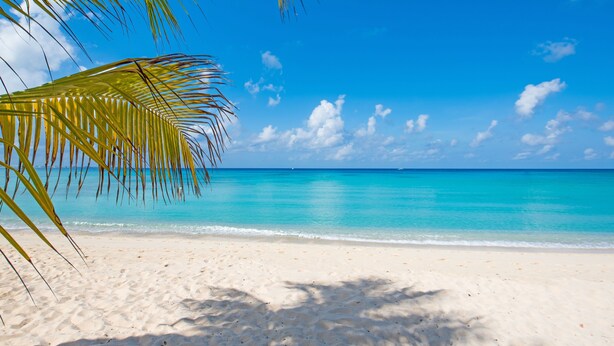 Une plage à l’eau turquoise et limpide, bordée d’un rivage sablonneux.