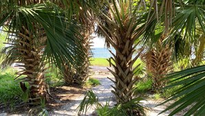 A pathway surrounded by palm trees leading to a beach. - Guest House at Historic Ten Horse Farm near Bainbridge and Lake Seminole (Bainbridge)