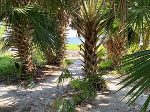 Property grounds - Guest House at Historic Ten Horse Farm near Bainbridge and Lake Seminole (Bainbridge)