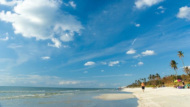 A beach with clear skies, palm trees, and a sandy shore. - Guest House at Historic Ten Horse Farm near Bainbridge and Lake Seminole (Bainbridge)