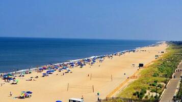 Beach nearby, sun loungers