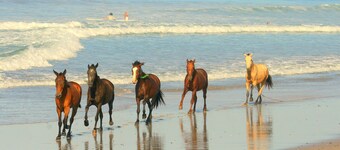 Beach Cabina 1 Garden View in Santa Beach.