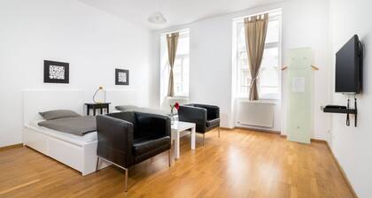 5* Top class, Newly renovated, bright, quiet apartment next to belvedere garden