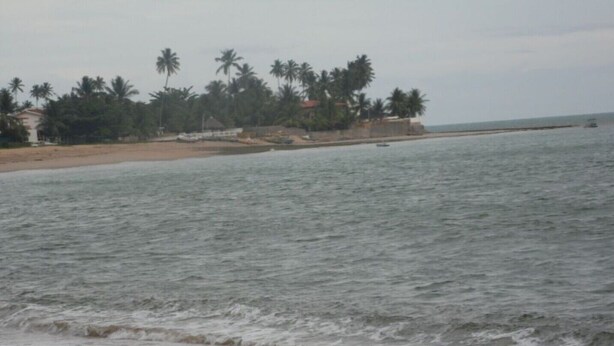 Una playa con olas, palmeras y una costa distante.