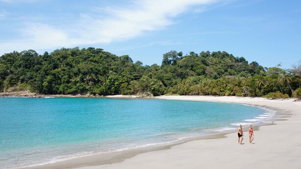 Ein Strand mit klarem türkisblauem Wasser, sandigem Ufer und üppiger grüner Vegetation im Hintergrund.