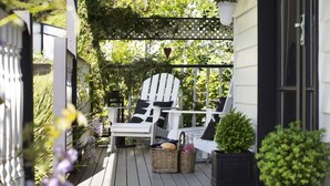 A covered porch with a white Adirondack chair, a wicker basket, and a potted plant. - Cottage 4A- sweet retreat with spa in Daylesford (Daylesford)