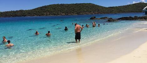 Ubicación a pie de playa, tumbonas y toallas de playa