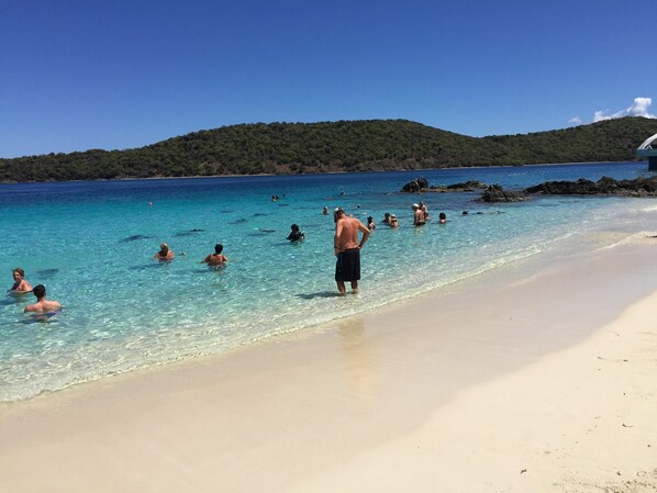 On the beach, sun loungers, beach towels