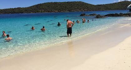 Lowest Rates, on Beach, Pool, Generator, Renovated Gorgeous 2BR @Cowpet Bay West