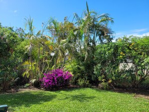 Property grounds - Relaxing, Amazing beach,  pool, Cheap cars, quiet area, Surfers paradise 1 (Atlantic Shores)
