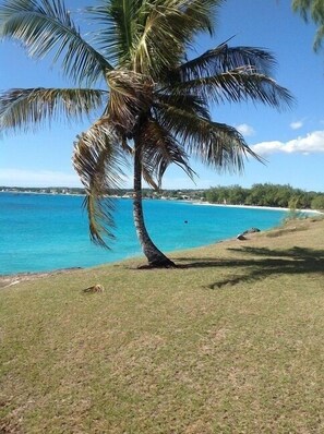 Plage à proximité, chaises longues