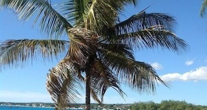 Relajante, playa increíble, piscina, autos baratos, tranquila, paraíso del surf