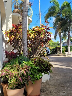 Overnattingsstedets uteområder