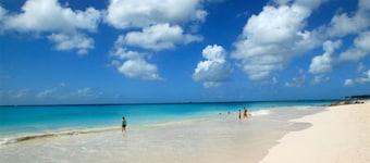 Relaxing, Amazing beach, pool, Cheap cars, quiet area, Surfers paradise 1