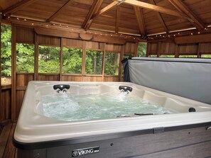Interior - Hot tub!! Skiing, snowmobile, fishing, biking, swimming, canoeing, Wellston Mi. (Wellston)