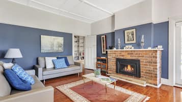 Televisio, takka, DVD-soitin, videokirjasto