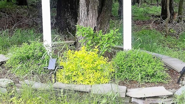 A welcome sign for Abel's Acres, surrounded by greenery and trees. - Visiting Cooperstown NY or Oneonta NY areas stay at Abel's Acre's Hideaway House (Mt Vision)