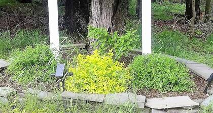 Visiting Cooperstown NY or Oneonta NY areas stay at Abel's Acre's Hideaway House