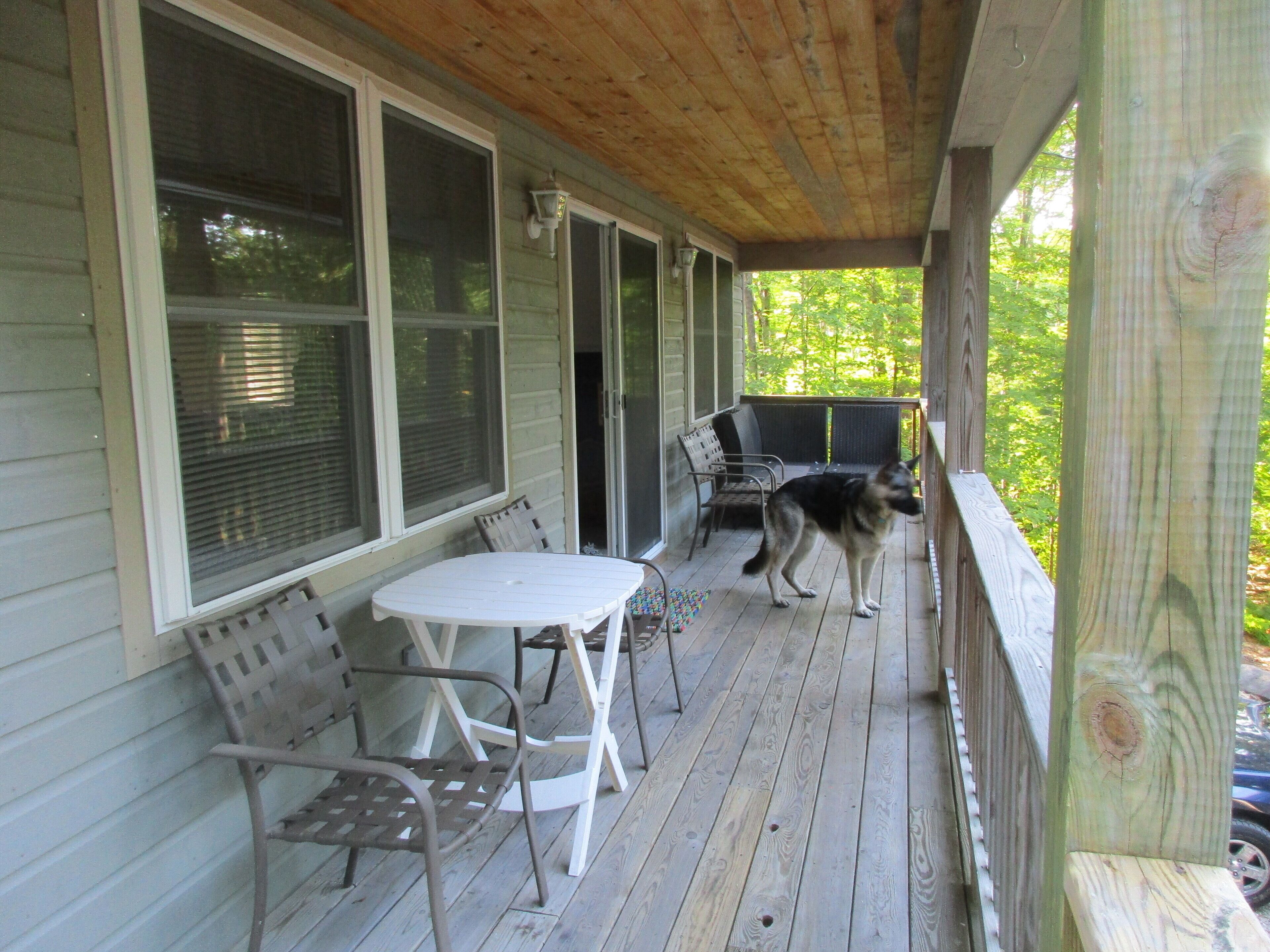 A covered porch with a table and chairs, a dog, and a view of greenery.