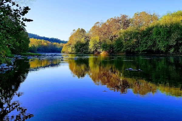 Fall foliage in all its splendid glory