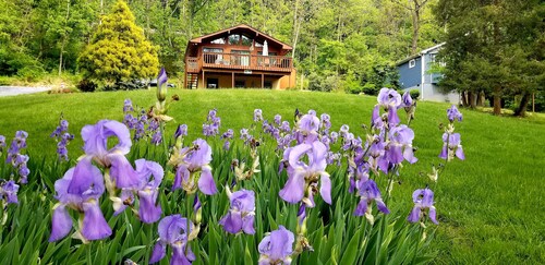 Spectacular Riverfront Hideaway – Cozy 2BR/2BA Near Shenandoah National Park
