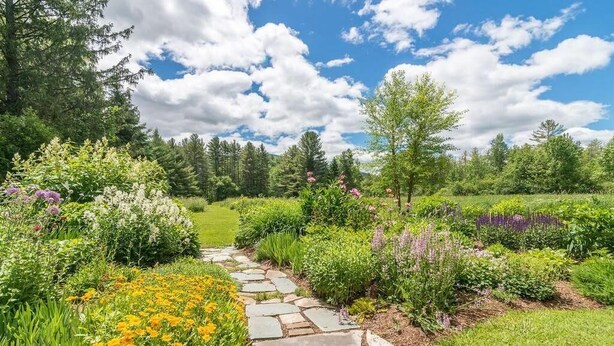 A garden with a stone pathway leading through various plants and flowers.