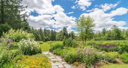 Ski Bromley, Stratton et plus encore! Vues sur la montagne. Marchez jusqu'au village.