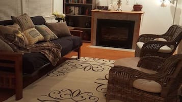 TV, fireplace, books