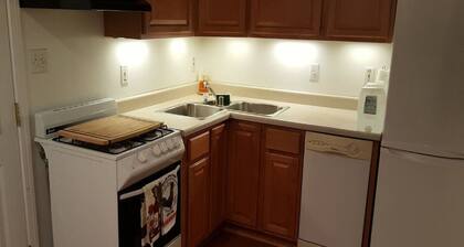 Zen-mökki puutarhassa Big Bearissa