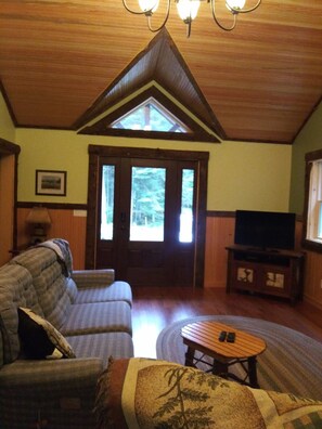 TV connectée, cheminée, lecteur de DVD, livres